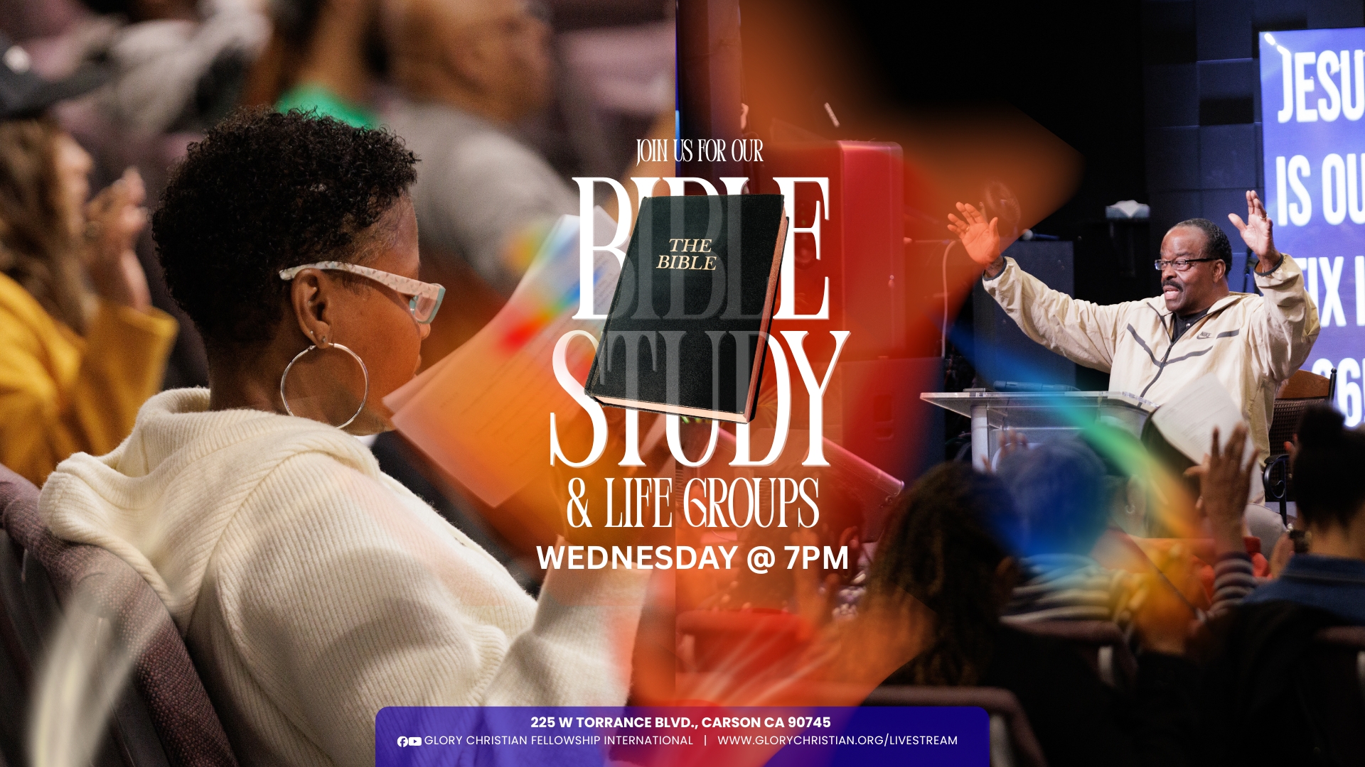 Bible Study & Life Groups